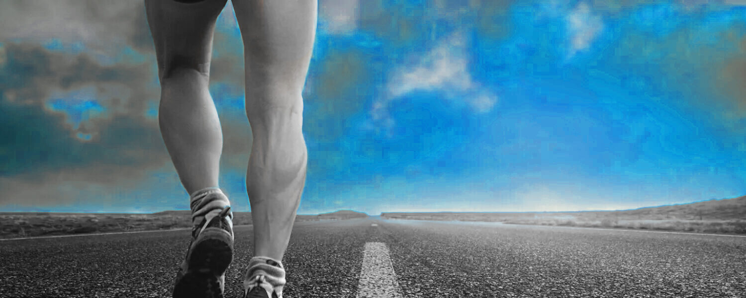 actions-bonsens-org-1536x1024-1500x600 copie