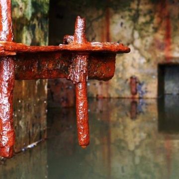 epidemiologie-des-eaux-usees