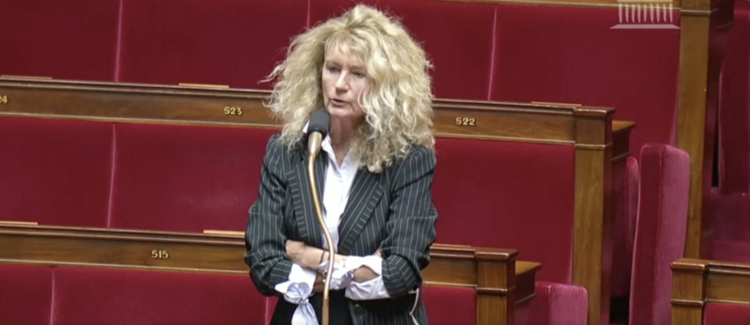 martine-wonner-a-l-assemblee