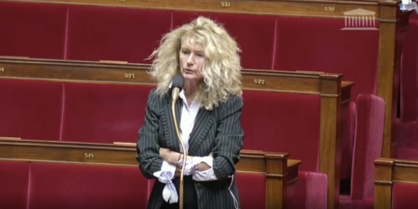 martine-wonner-a-l-assemblee