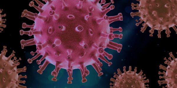 coronavirus-sars-cov-2-covid19