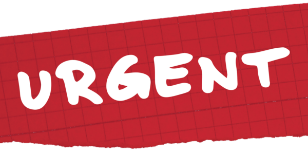 Communiqué de Presse URGENT