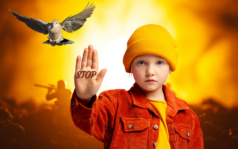 Image Envato licence