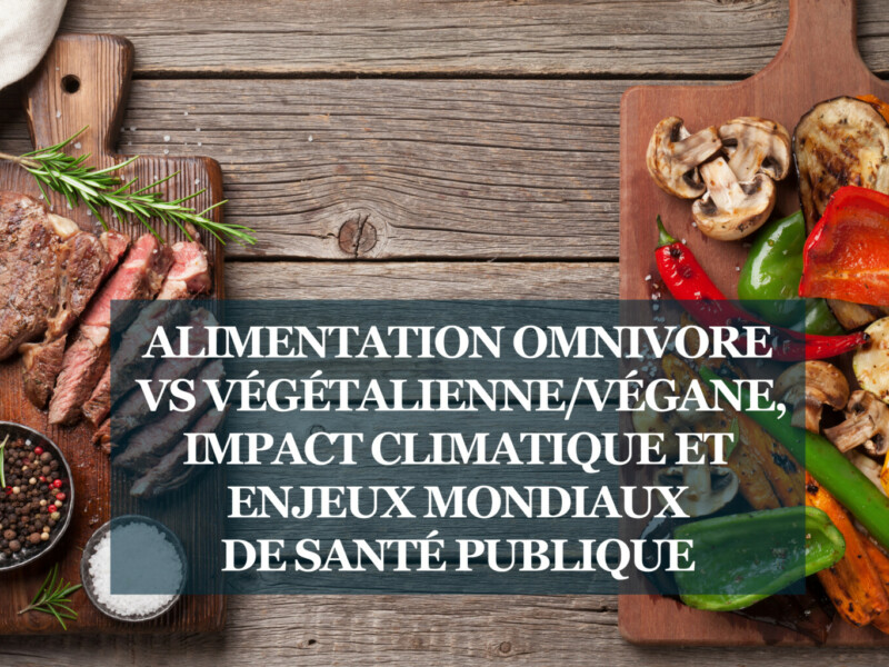 Rapport : Alimentation omnivore vs végétalienne/végane, impact climatique et enjeux mondiaux de Santé Publique