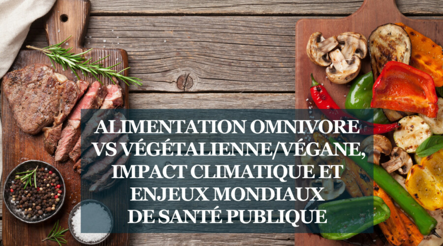 Rapport : Alimentation omnivore vs végétalienne/végane, impact climatique et enjeux mondiaux de Santé Publique