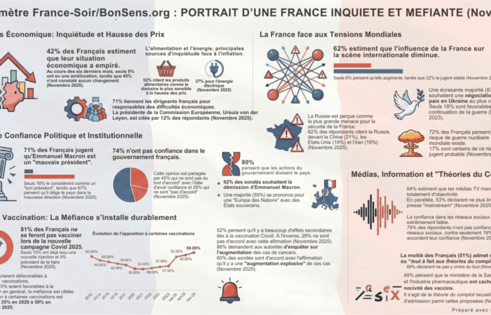 France Sous Tension Opinion Radiographie 30 Novembre 2025 (1)