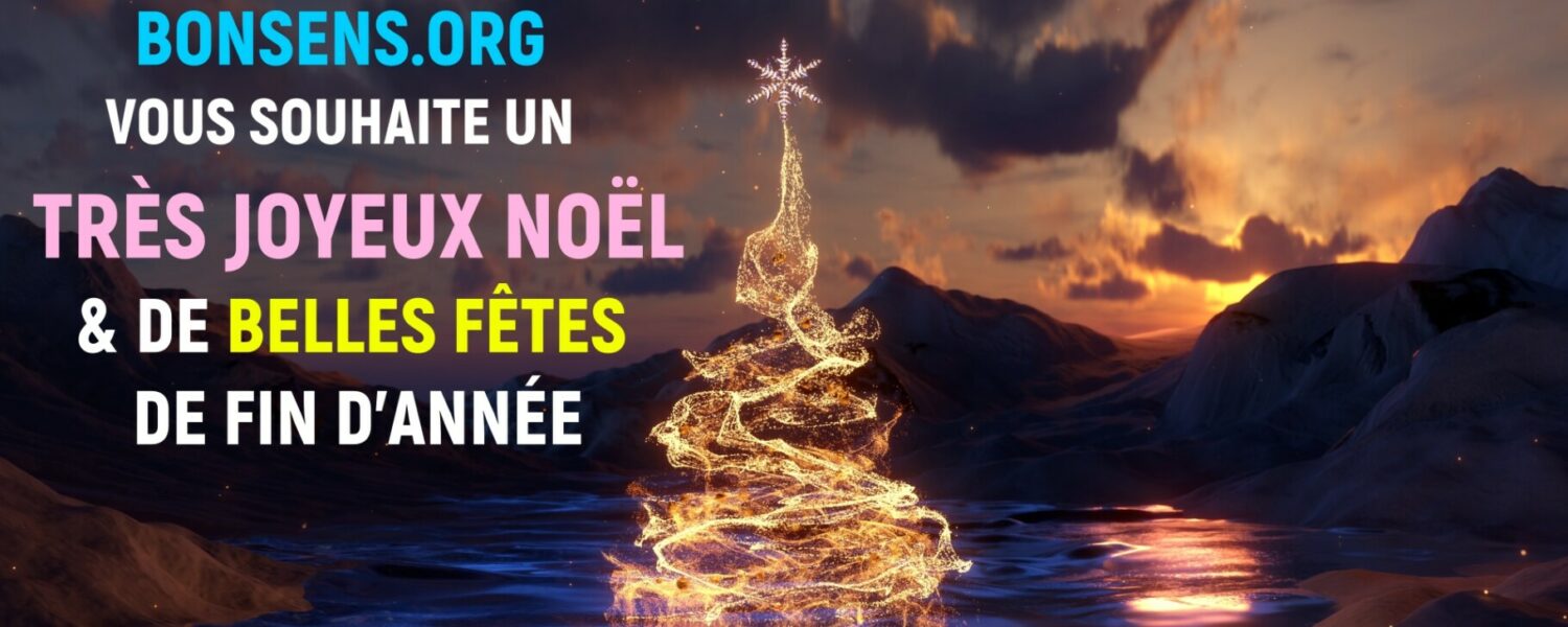 Joyeux Noël 2025 BonSens.org