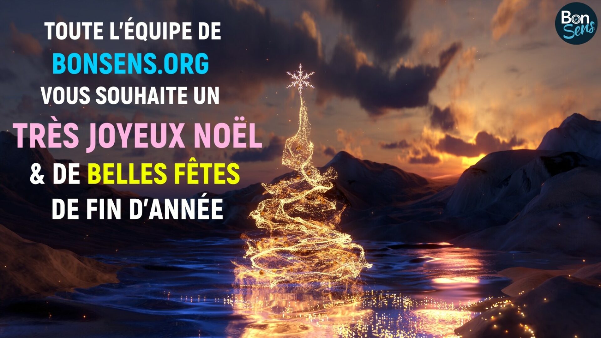 Joyeux Noël 2025 BonSens.org