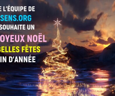 Joyeux Noël 2025 BonSens.org