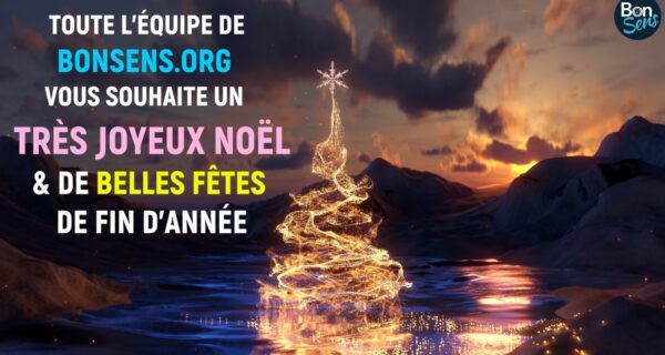 Joyeux Noël 2025 BonSens.org