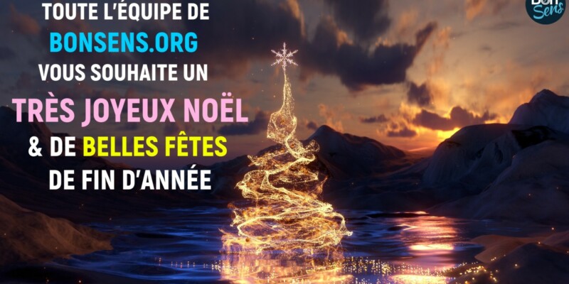 Joyeux Noël 2025 BonSens.org