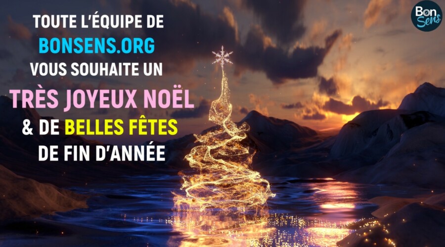Joyeux Noël 2025 BonSens.org