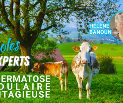 Paroles d’Experts : la Dermatose Nodulaire Contagieuse par Hélène Banoun