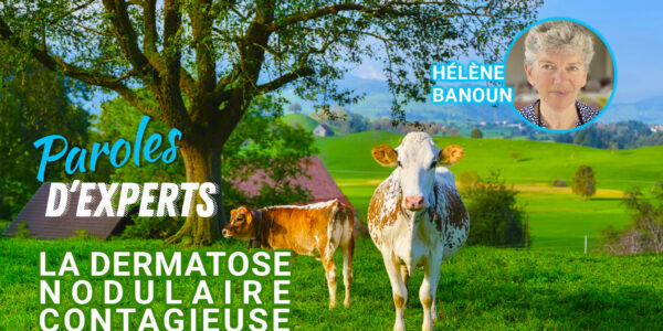 Paroles d&rsquo;Experts : la Dermatose Nodulaire Contagieuse par Hélène Banoun