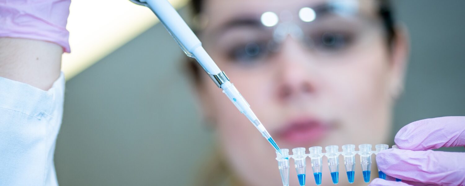 Licence Envato pour BonSens.org