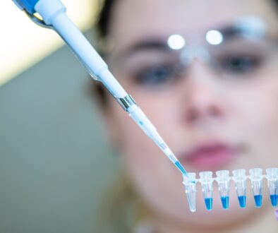 Licence Envato pour BonSens.org