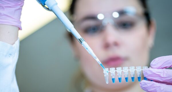 Licence Envato pour BonSens.org