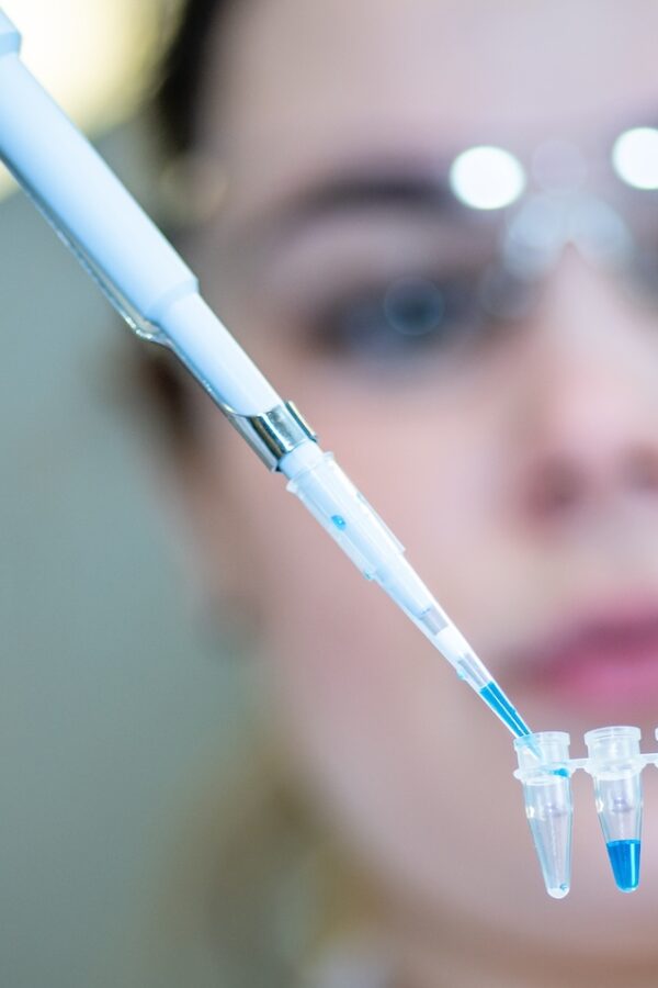 Licence Envato pour BonSens.org