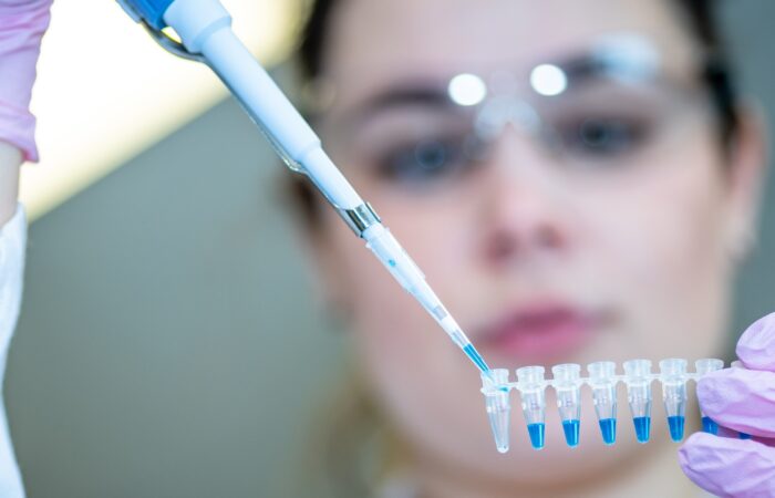 Licence Envato pour BonSens.org