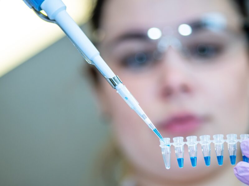 Licence Envato pour BonSens.org