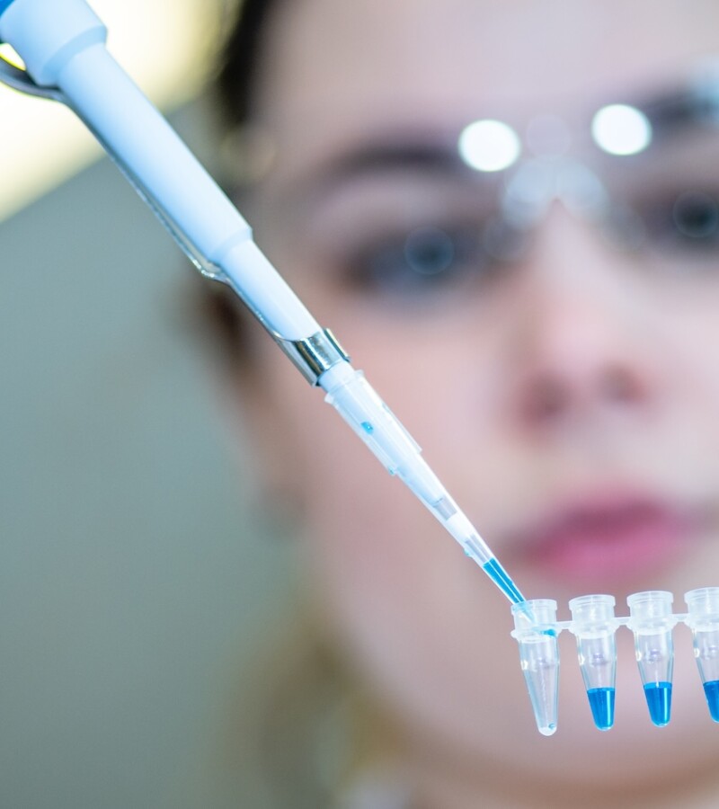 Licence Envato pour BonSens.org