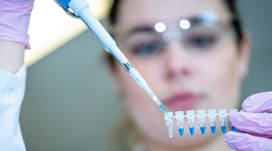 Licence Envato pour BonSens.org