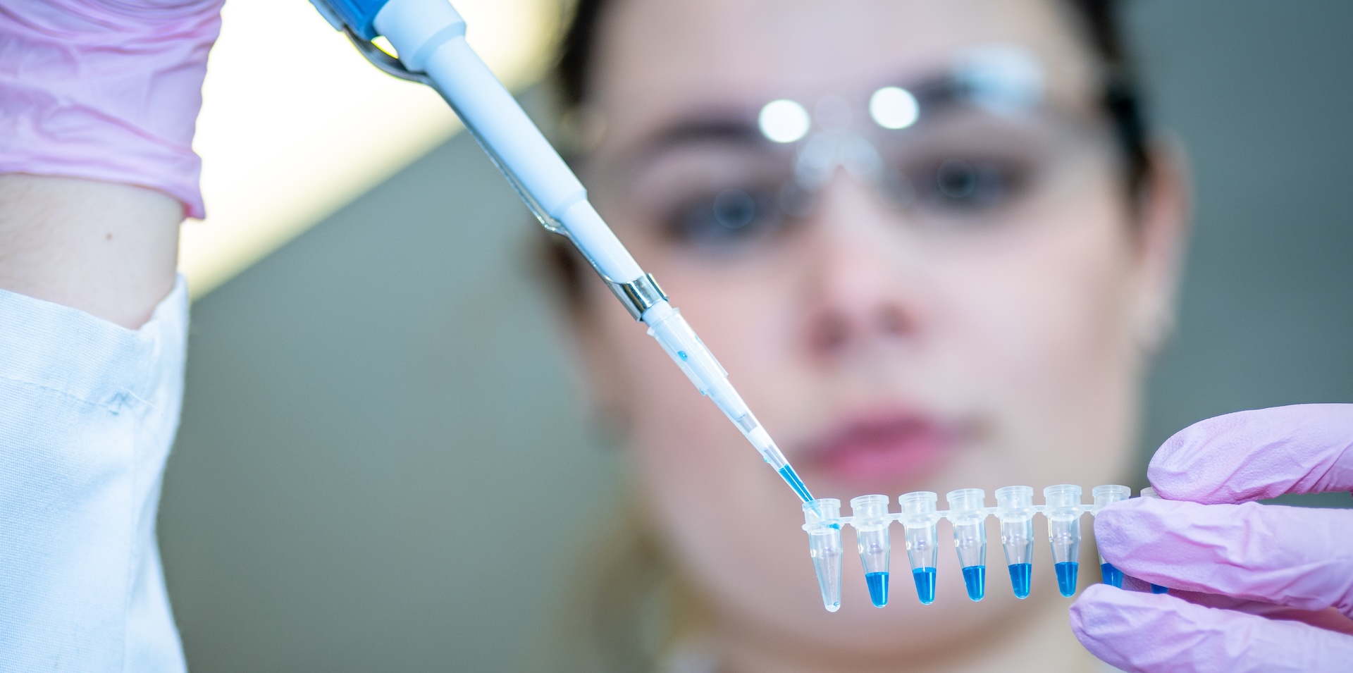 Licence Envato pour BonSens.org