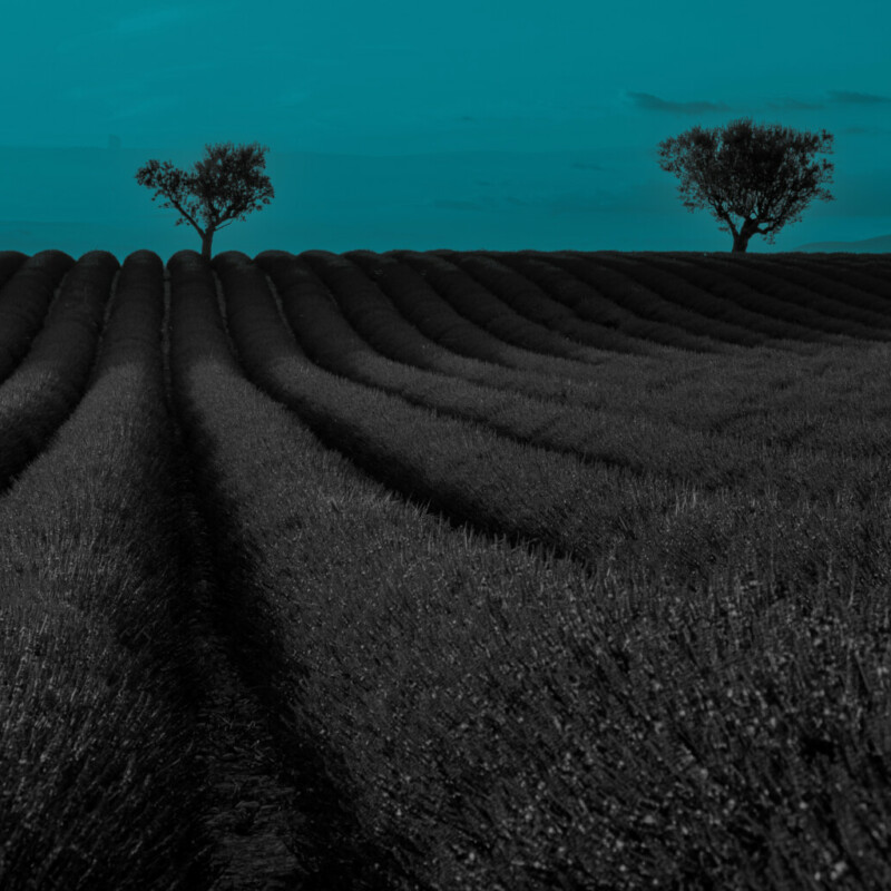 Juste des citoyens qui ont décidé d'agir avec bon sens