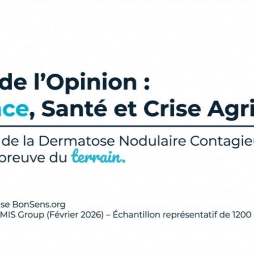la crise de la DNC - Sondage