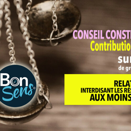juridique-actions-bonsens-org -loi-reseaux-sociaux
