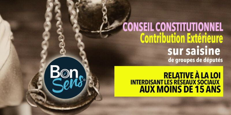 juridique-actions-bonsens-org -loi-reseaux-sociaux