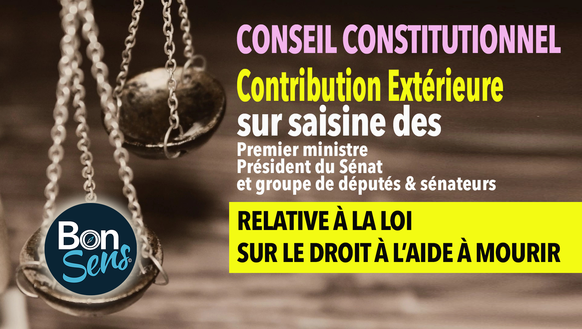 Contribution extérieure à la saisine n° 2026-910 DC relative à la loi sur le droit à l’aide à mourir