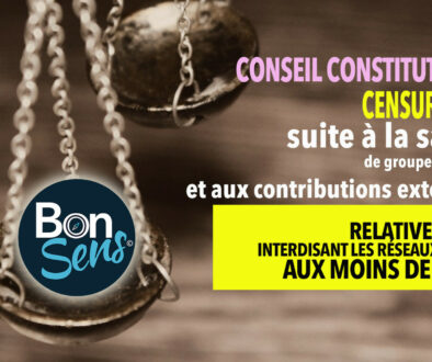juridique-actions-bonsens-org-censure-loi